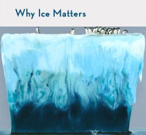 Alexis Rockman: Adelies (2008); collection of Robin and Steven Arnold 